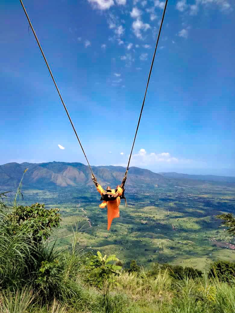 Canopy Swings