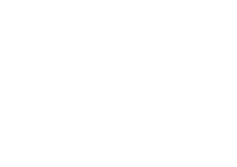 Ziplord Consultancy