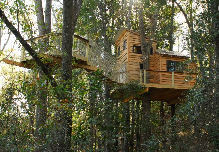 Tree Houses